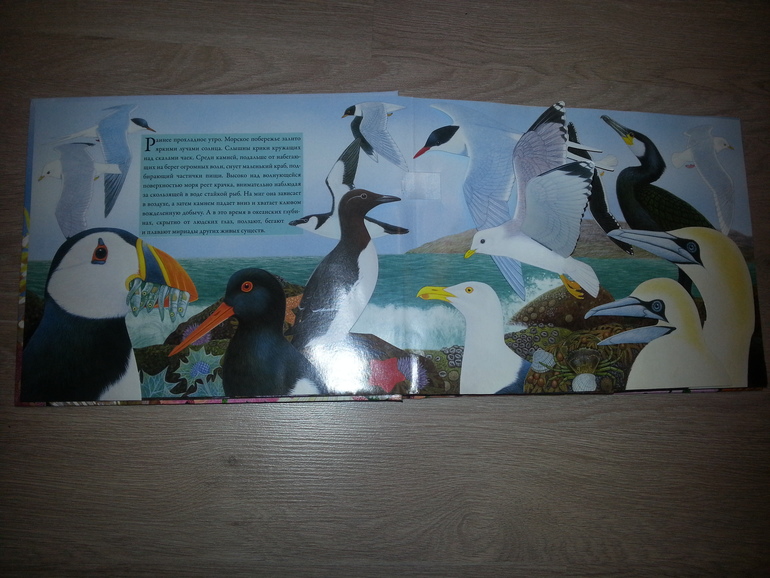 Наши книжные новинки