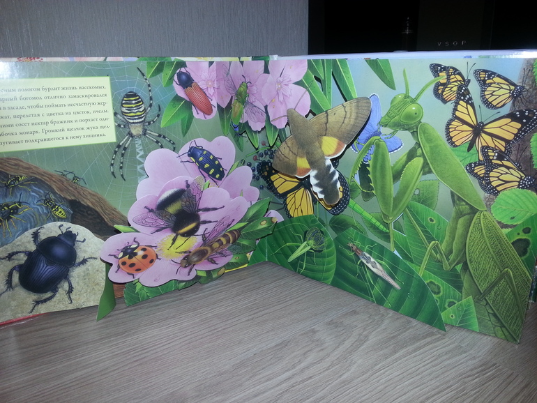 Наши книжные новинки