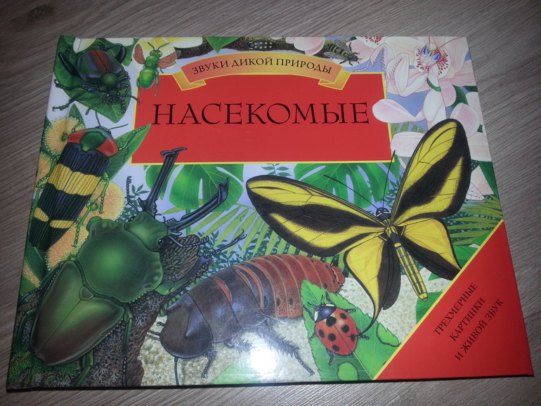Наши книжные новинки