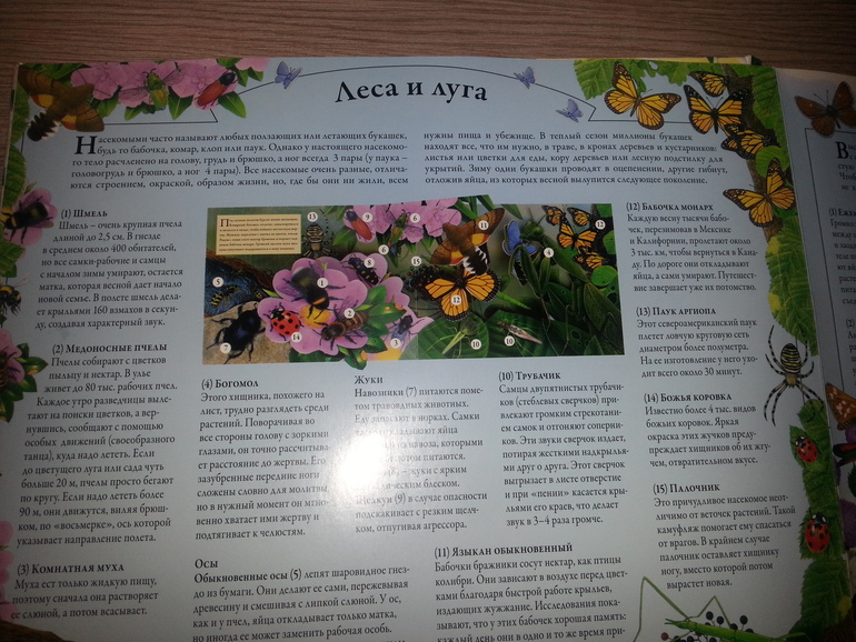 Наши книжные новинки