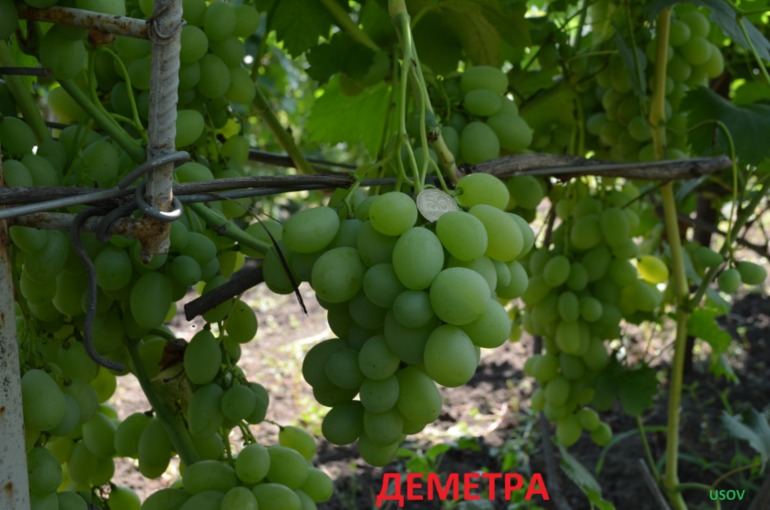 b73ab094f1aea11141f67394bb6ad8ce.jpg