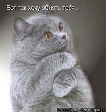 ccdfe31f0bbc8f4901d82899e21cb732.jpg