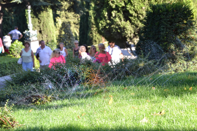 В поисках радуги