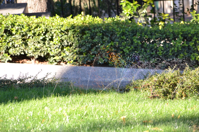 В поисках радуги