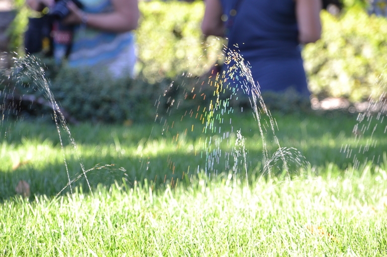 В поисках радуги