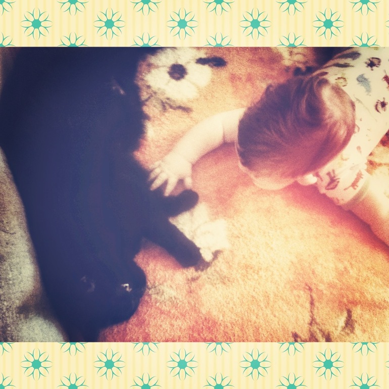 6,5 ....парам пам)