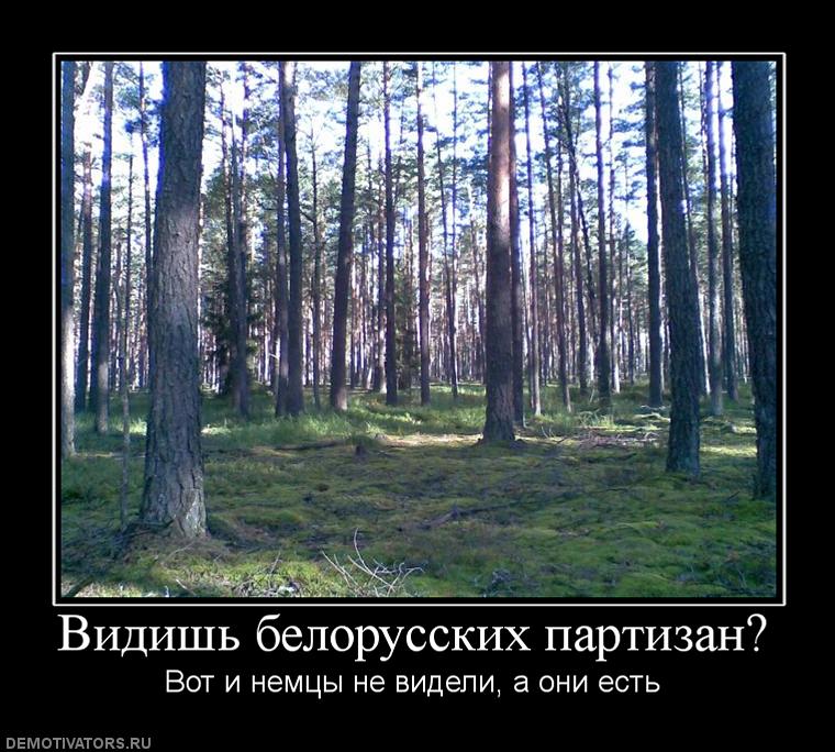 51aa54379b1b71eaa8b12f975b1ad05d.jpg