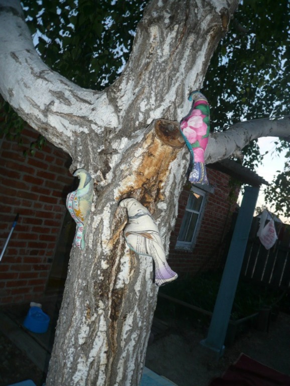 Вернулась На ББ после отдыха