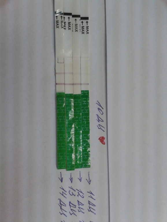 Овуляция... кажется есть?