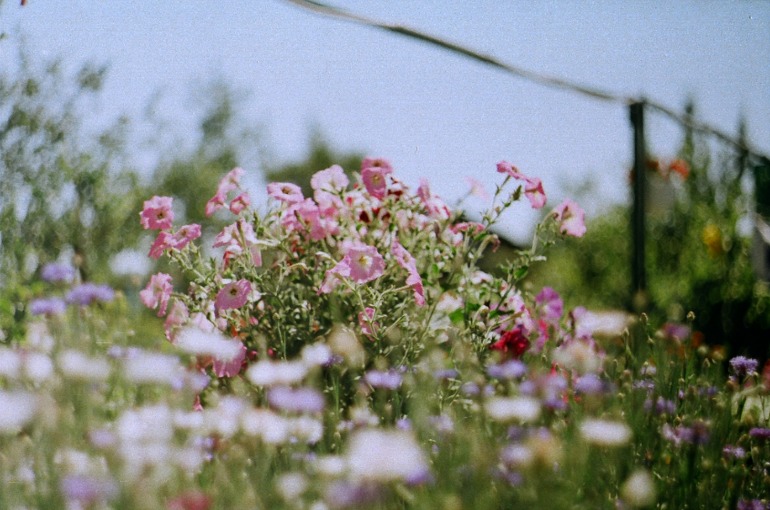 ae94a537f2842b976c769b4cf7d84754.jpg