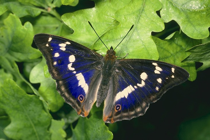 УРОК №2 ВЫРЕЗАЕМ ОБЪЕКТ