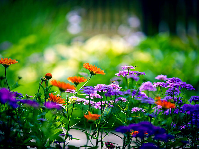 Контрольное задание № 6. Три способа цветокоррекций фотографий