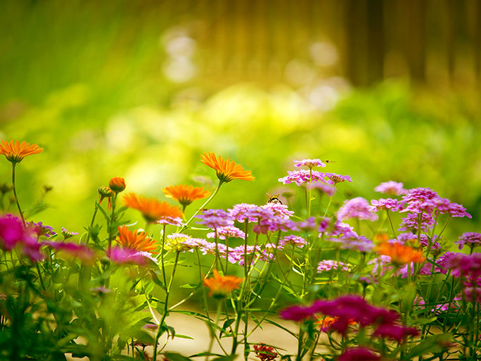 Контрольное задание № 6. Три способа цветокоррекций фотографий