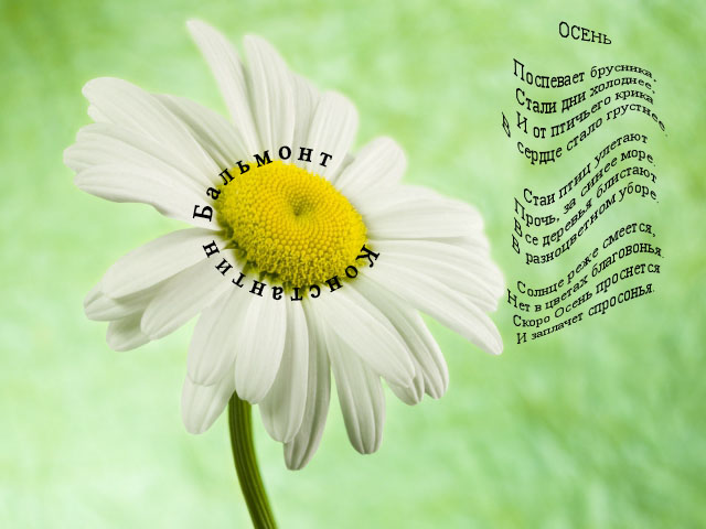 Урок № 4. "Текст"