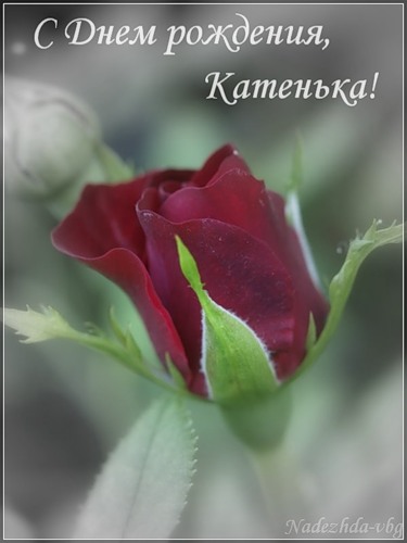 facdb13545ebedca57d902dae338e673.jpg