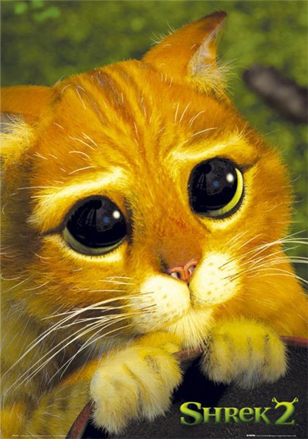 Дайте ссылку, кому не жаль)