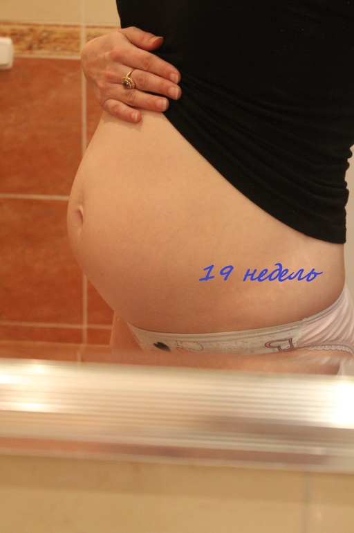 Наш пузорост 12 и 19 недель (много фоток +узи)