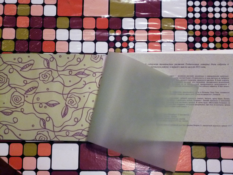 Гербарий - наша с дочкой работа.