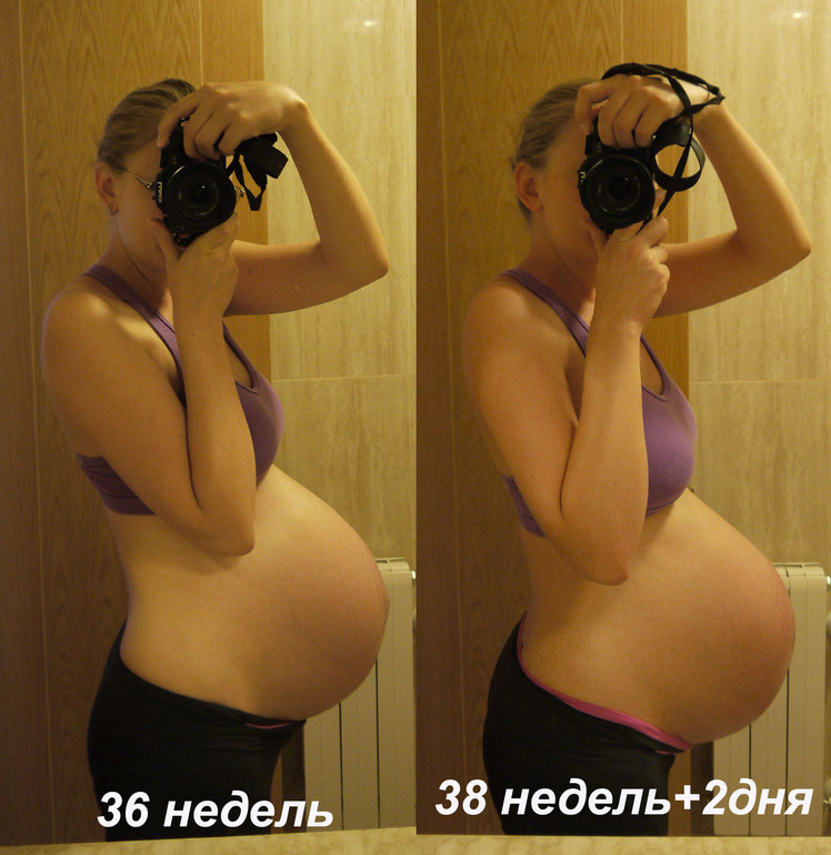 Наш пузорост (полная версия).