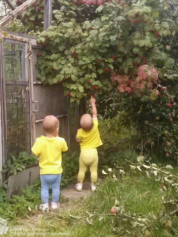 провели лето на даче!))