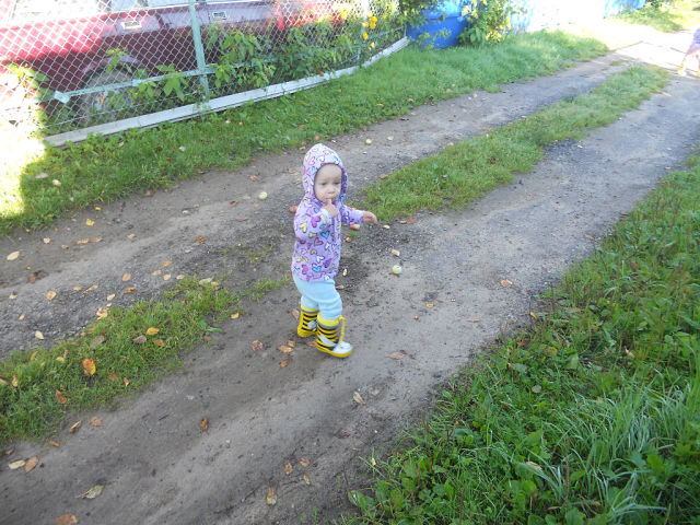 провели лето на даче!))