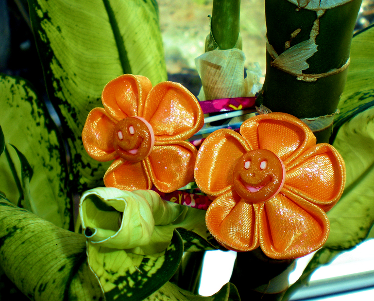 Заколочки "Оранжевое настроение"