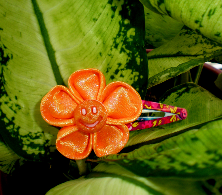 Заколочки "Оранжевое настроение"