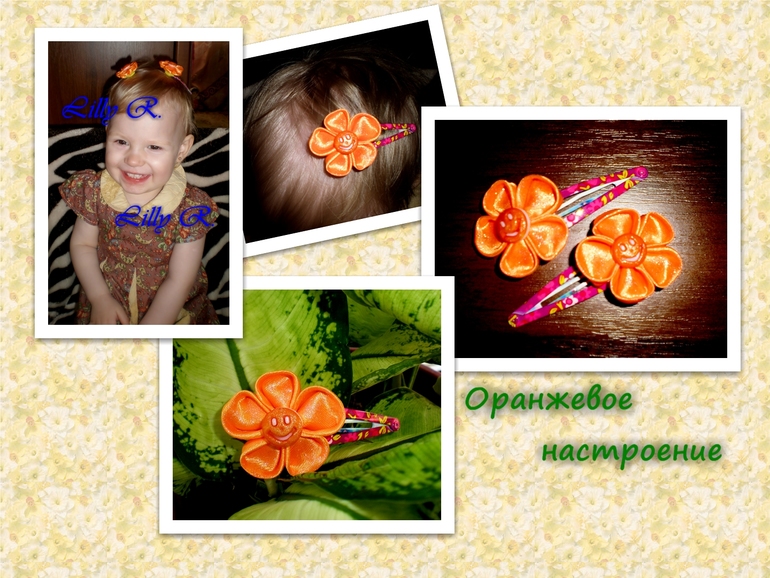 Заколочки "Оранжевое настроение"