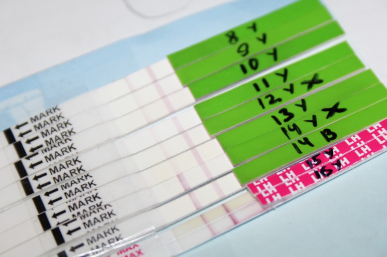 Первый месяц планирования