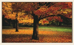 Новинки наборов для рукоделия. Алмазная вышивка.