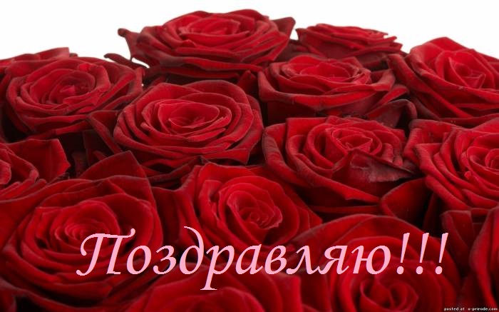 f6b9327da7695bc4215c9e9d2cb8aeea.jpg