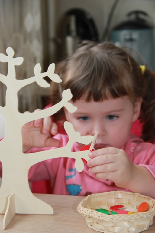 Монтессори-24. Осень