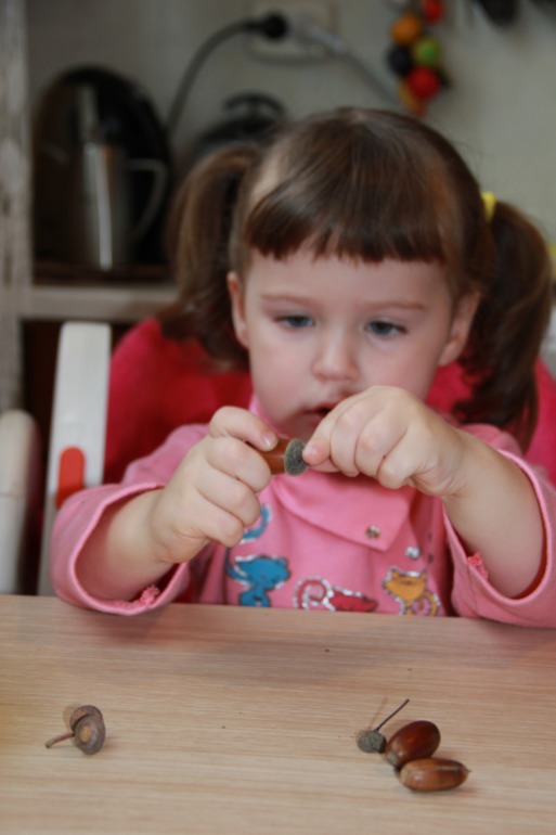 Монтессори-24. Осень