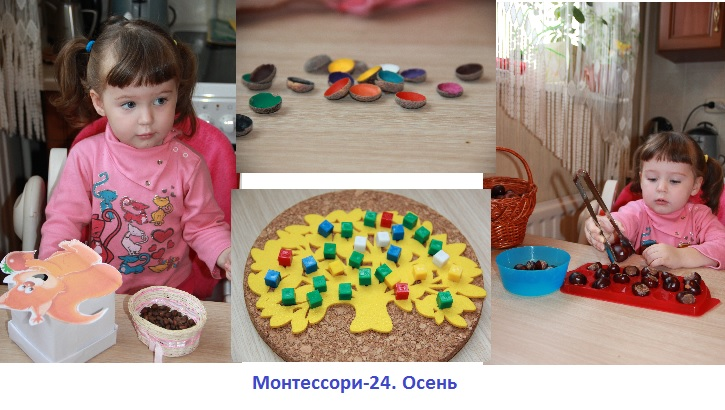 Монтессори-24. Осень
