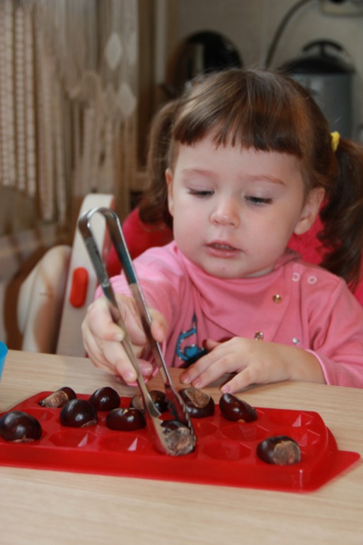 Монтессори-24. Осень