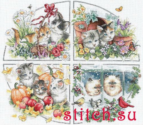 Дим на обмен