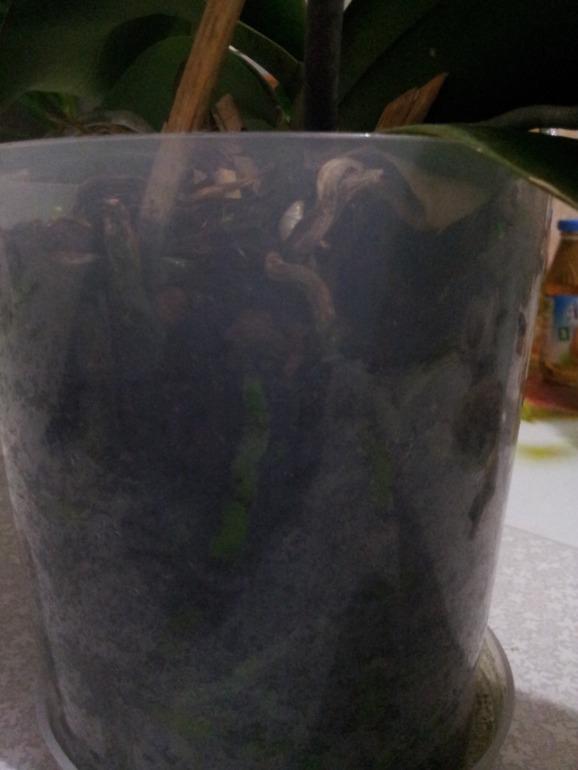 помогите!!! нужен ваш совет!!!