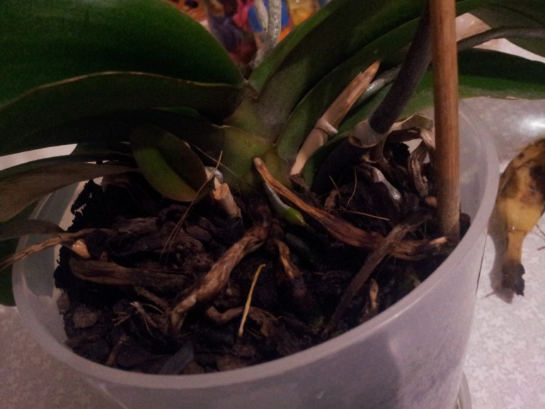 помогите!!! нужна ваша помощь!!!