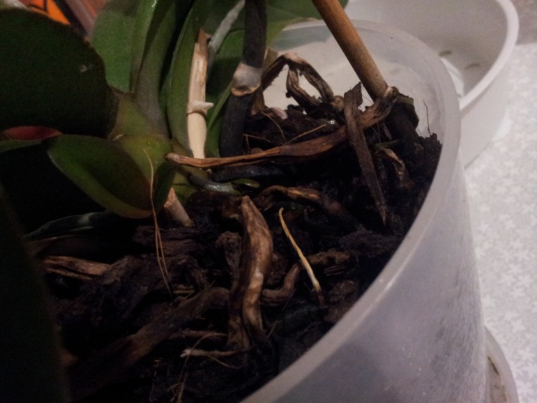 помогите!!! нужна ваша помощь!!!