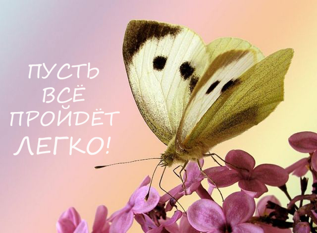 0414cdc84d76280005c734eb3f0e994b.jpg