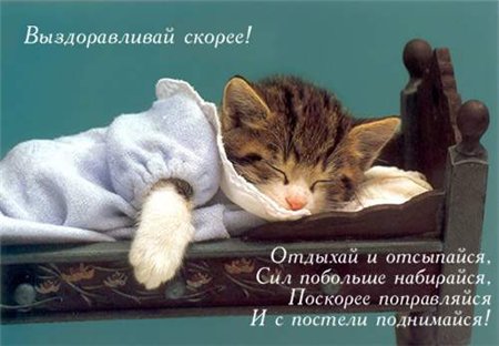 12b1740c0568572cedc704aabe872ec3.jpg