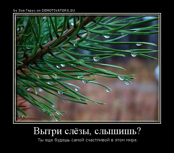 4567b23d571d9522f448e03604320a98.jpg