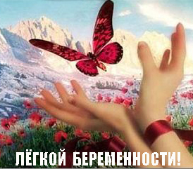 6e4d49b00d2c34911c1f0dc74b31c0ac.jpg