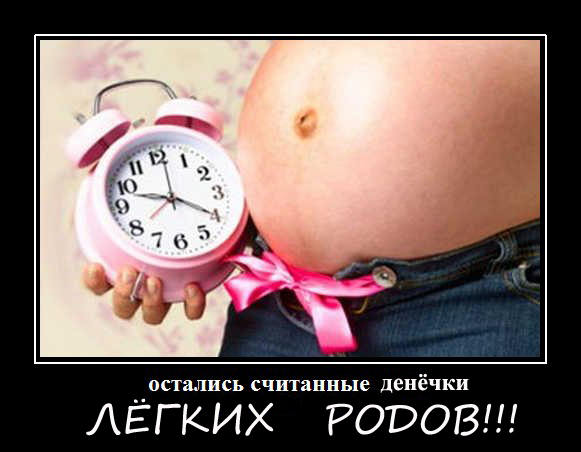 9464ec835eef28a1f982d5f64eaa3b6f.jpg