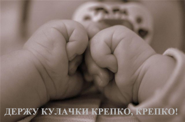 b132be496153d850ae57a16f6795b211.jpg