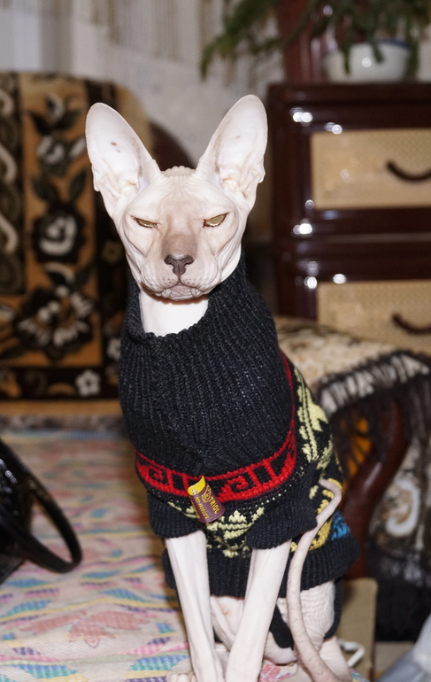 К чему бы это?