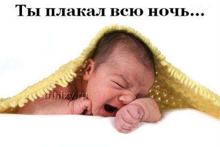 7a141564584db6ecdf049330559cbe81.jpg