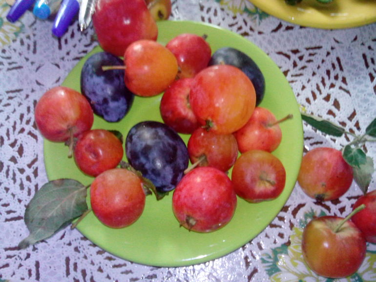 Сибирская осень )