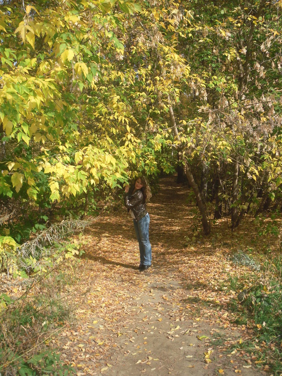 Сибирская осень )