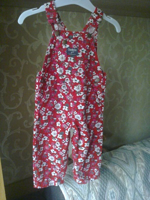 Девичье на 9-18 мес.